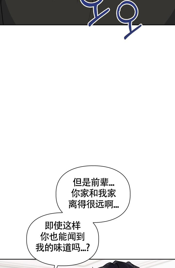 《诱饵》漫画最新章节第34话免费下拉式在线观看章节第【8】张图片