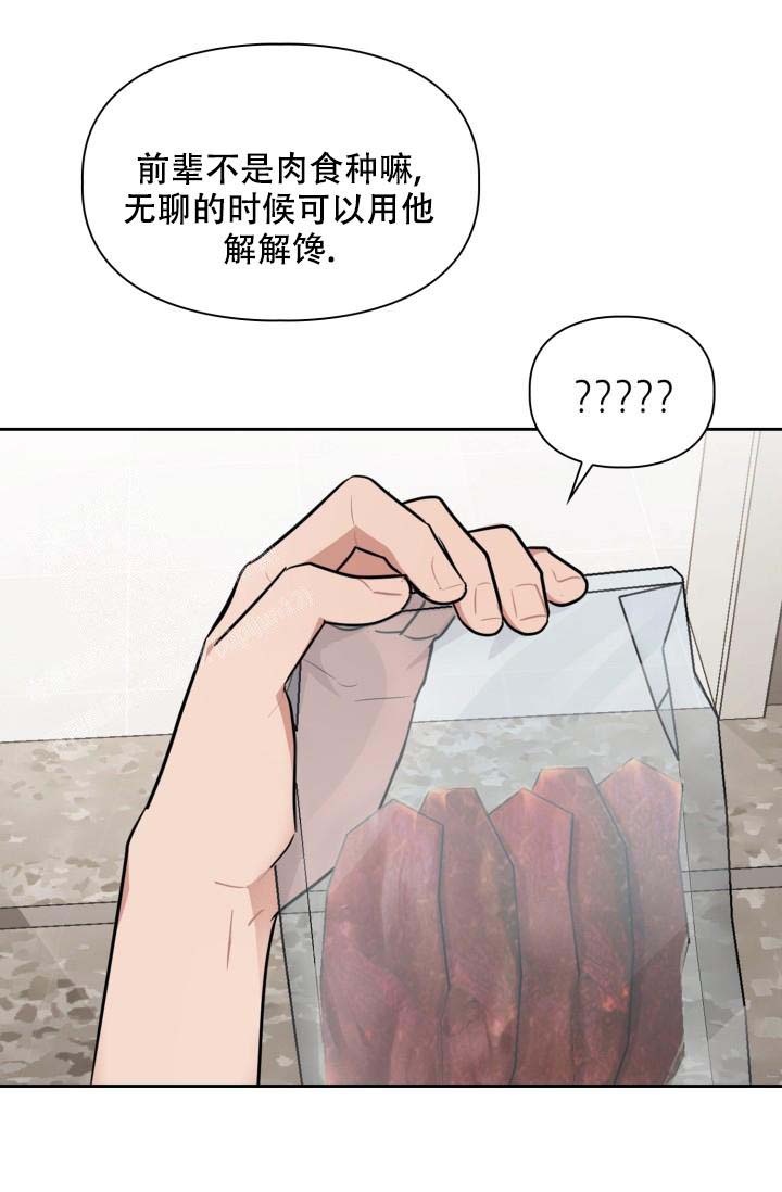 《诱饵》漫画最新章节第43话免费下拉式在线观看章节第【16】张图片