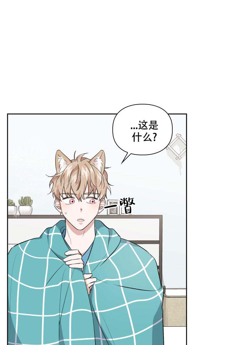 《诱饵》漫画最新章节第37话免费下拉式在线观看章节第【3】张图片