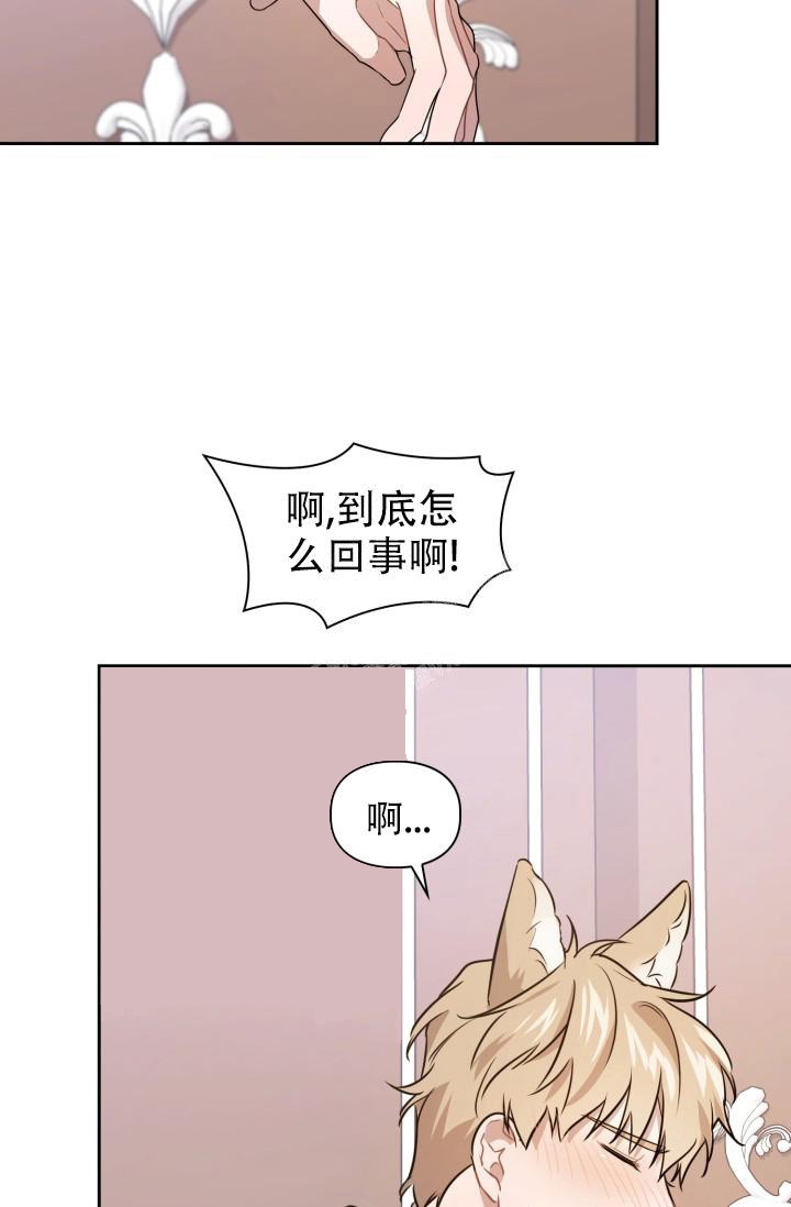 《诱饵》漫画最新章节第11话免费下拉式在线观看章节第【28】张图片