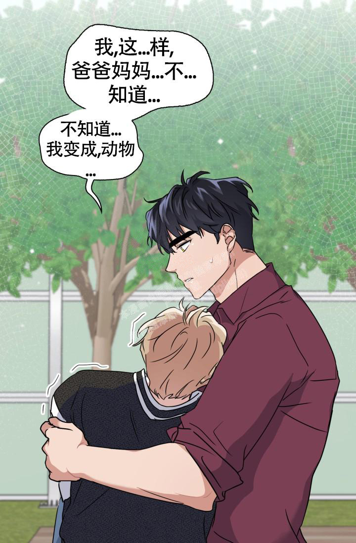 《诱饵》漫画最新章节第31话免费下拉式在线观看章节第【34】张图片