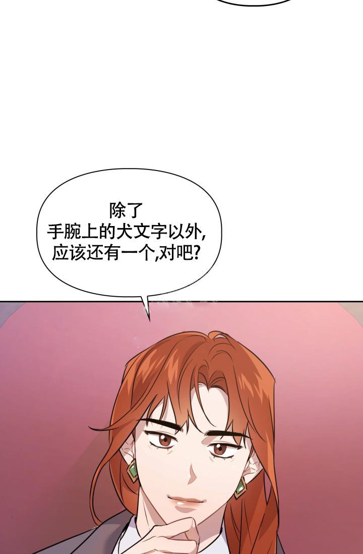 《诱饵》漫画最新章节第9话免费下拉式在线观看章节第【15】张图片