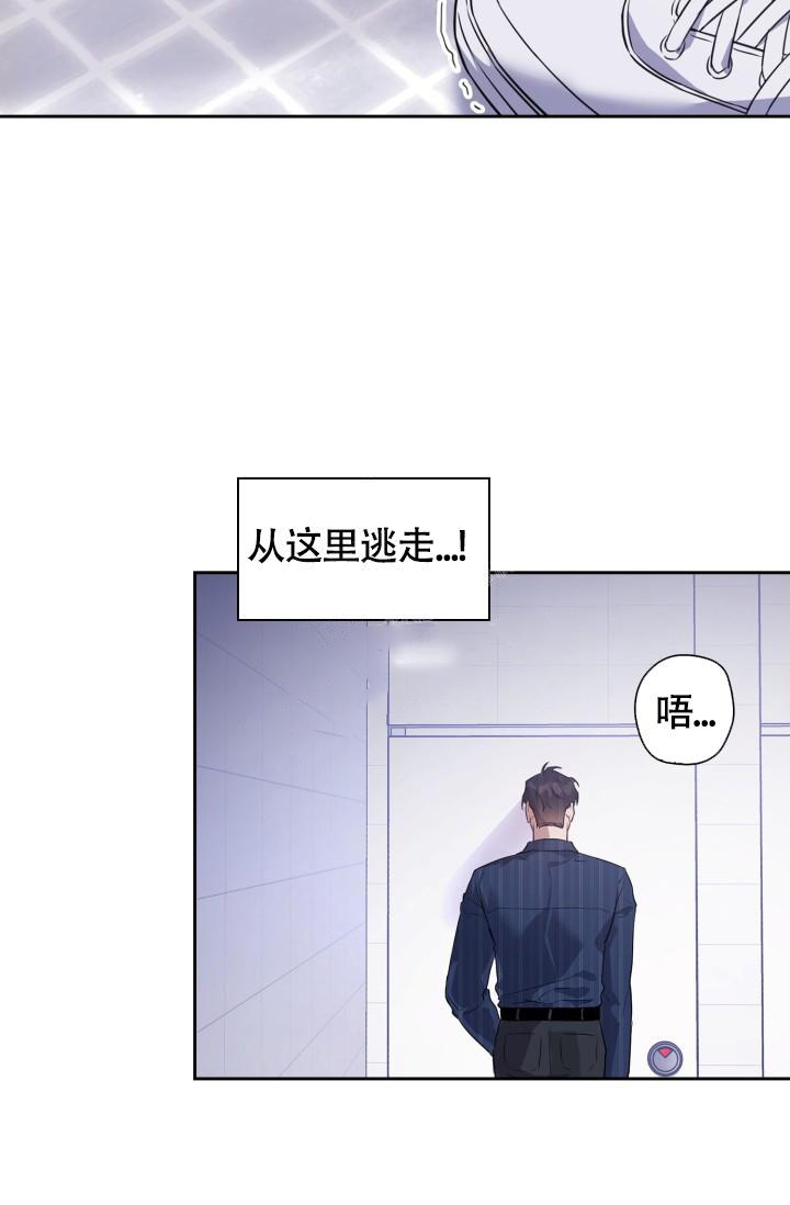 《诱饵》漫画最新章节第4话免费下拉式在线观看章节第【5】张图片