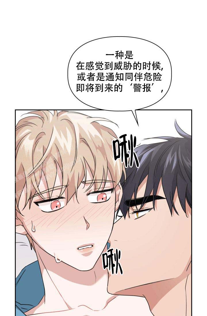 《诱饵》漫画最新章节第36话免费下拉式在线观看章节第【1】张图片