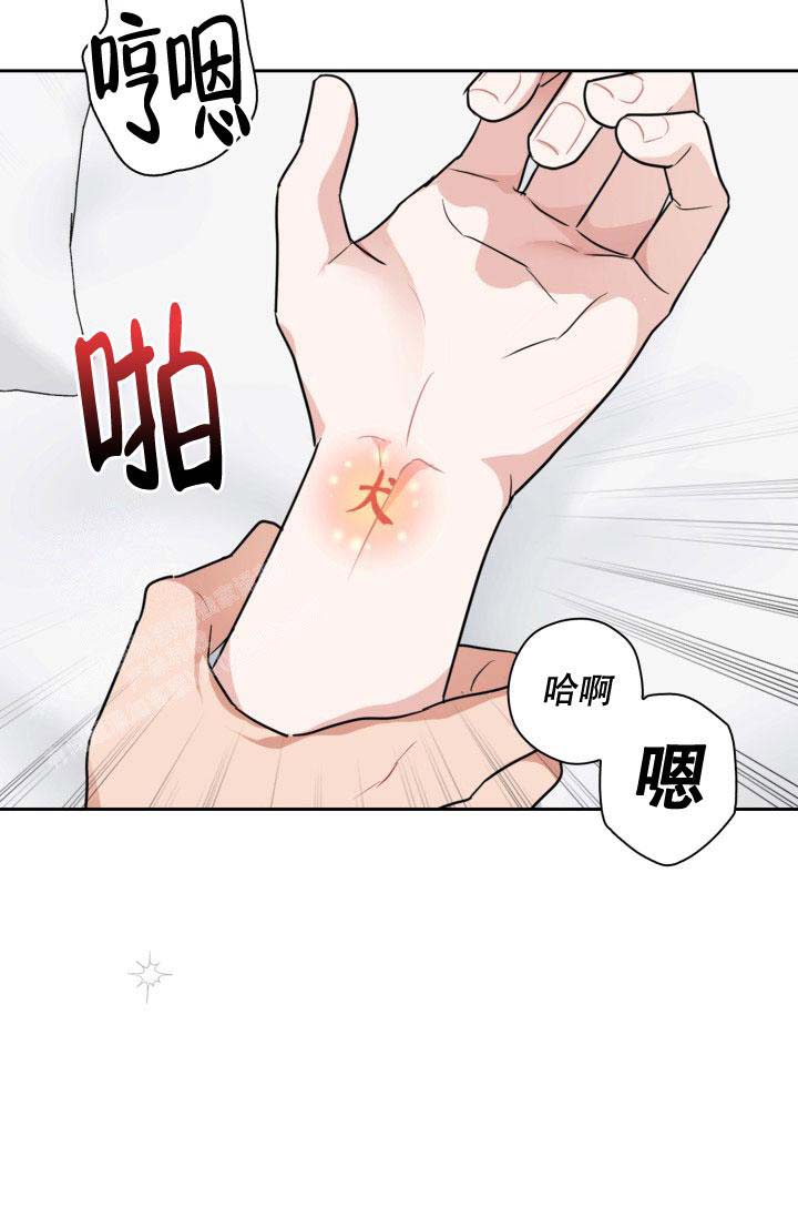 《诱饵》漫画最新章节第61话免费下拉式在线观看章节第【15】张图片