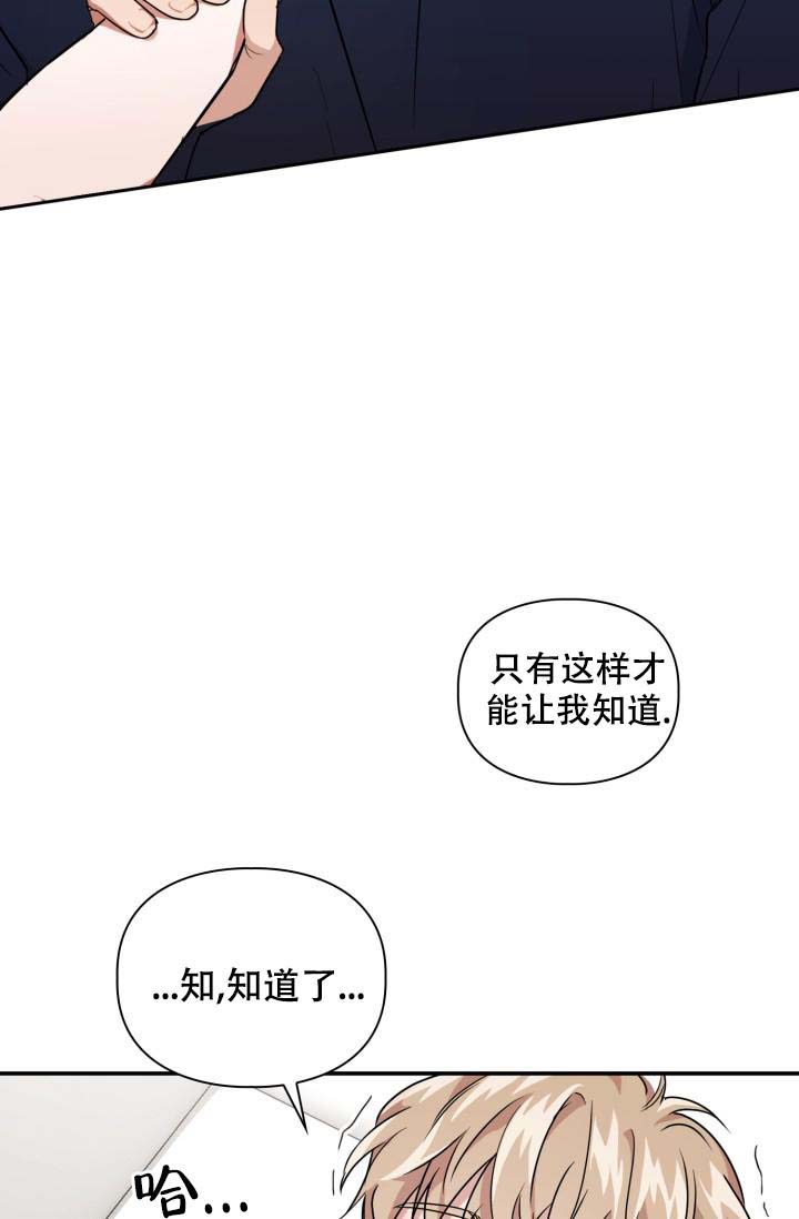 《诱饵》漫画最新章节第45话免费下拉式在线观看章节第【33】张图片