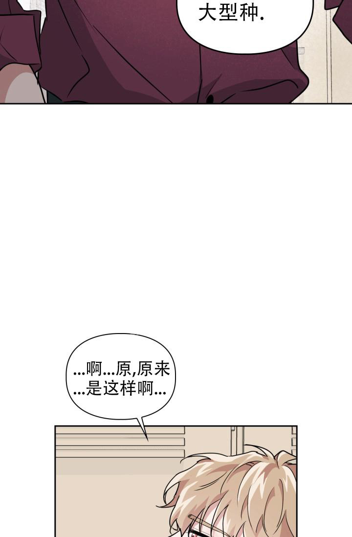 《诱饵》漫画最新章节第26话免费下拉式在线观看章节第【25】张图片