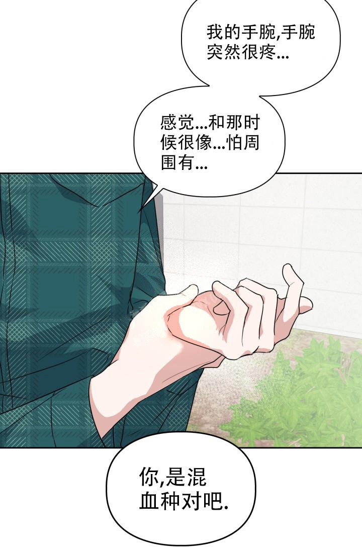 《诱饵》漫画最新章节第19话免费下拉式在线观看章节第【16】张图片