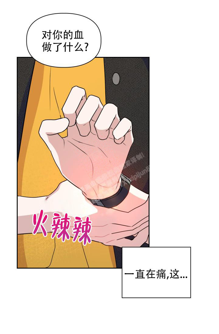 《诱饵》漫画最新章节第27话免费下拉式在线观看章节第【36】张图片