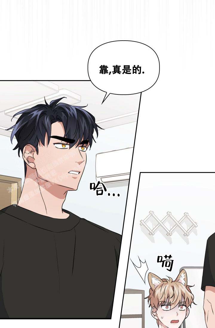 《诱饵》漫画最新章节第37话免费下拉式在线观看章节第【19】张图片