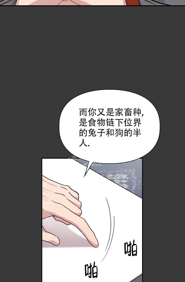 《诱饵》漫画最新章节第17话免费下拉式在线观看章节第【31】张图片