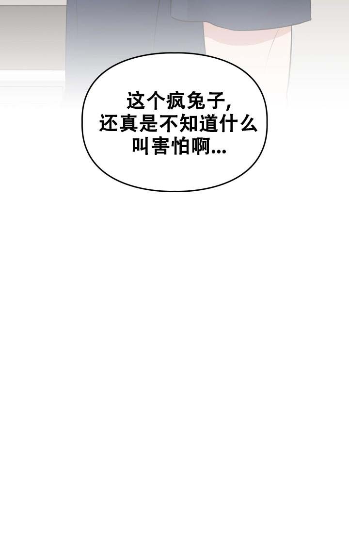 《诱饵》漫画最新章节第43话免费下拉式在线观看章节第【11】张图片