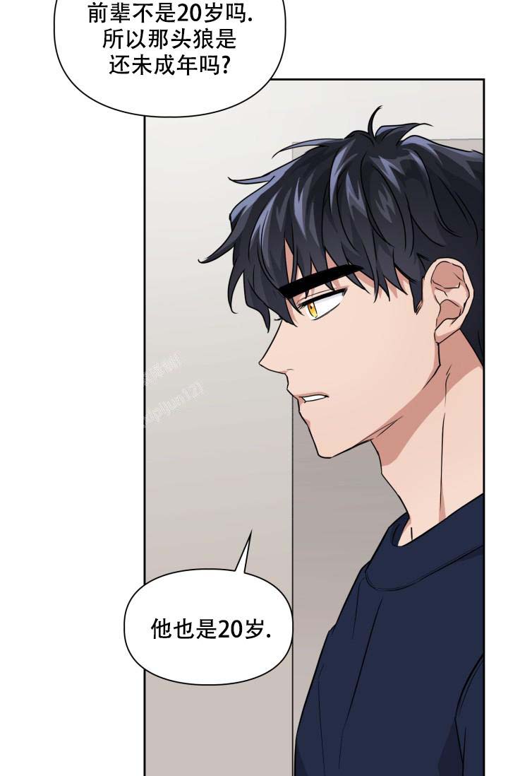 《诱饵》漫画最新章节第42话免费下拉式在线观看章节第【19】张图片