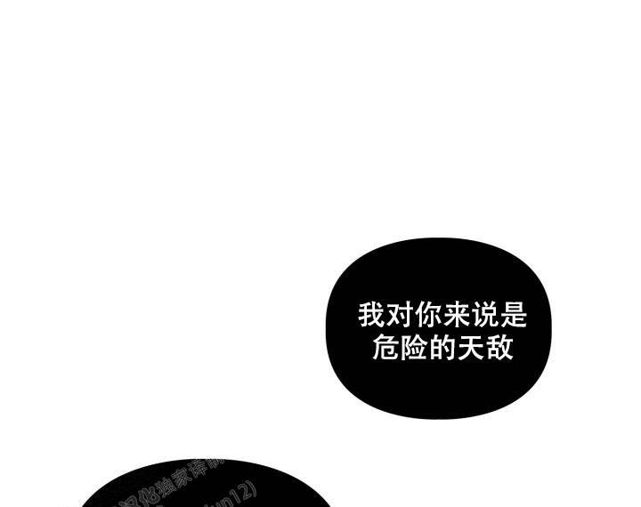 《诱饵》漫画最新章节第64话免费下拉式在线观看章节第【21】张图片