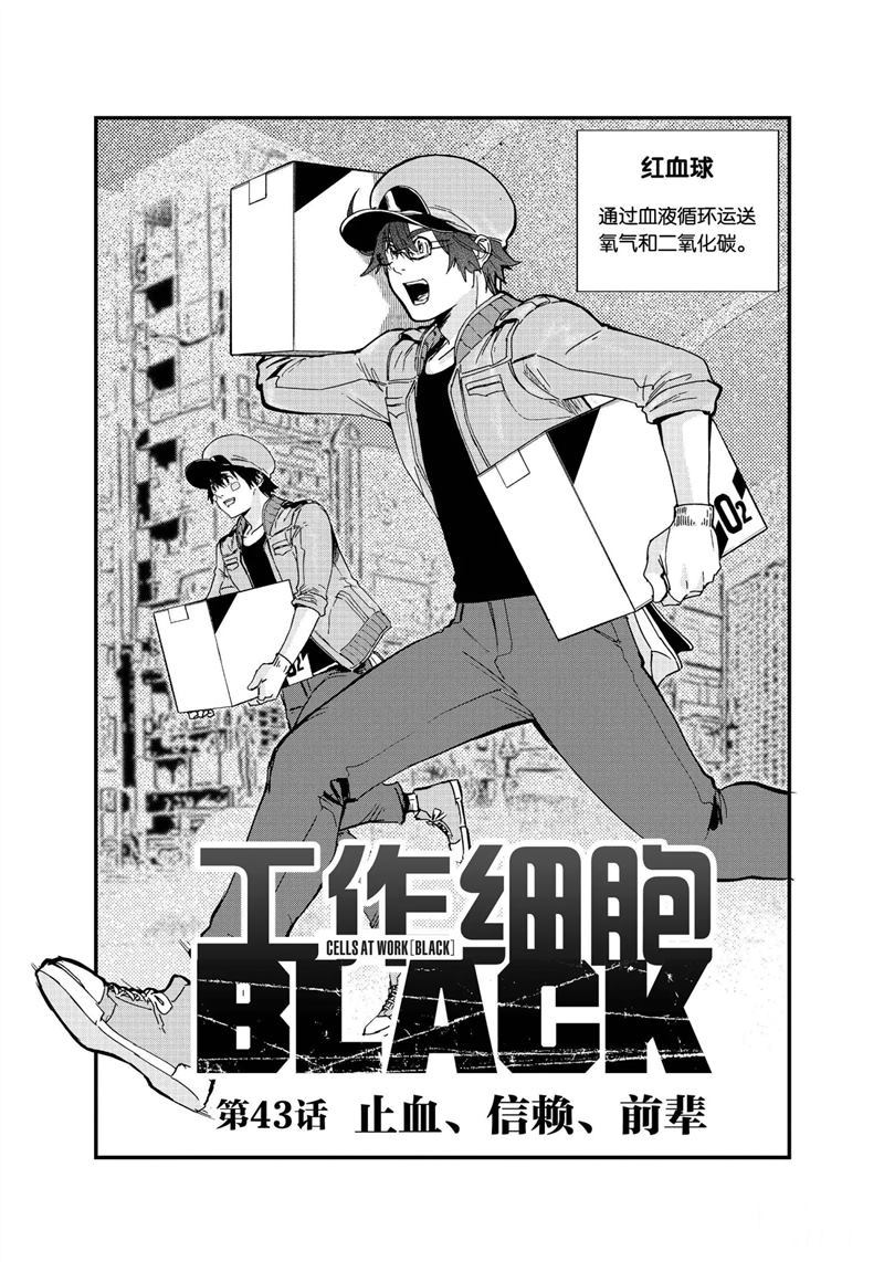 《工作细胞black》漫画最新章节第43话 试看版免费下拉式在线观看章节第【1】张图片