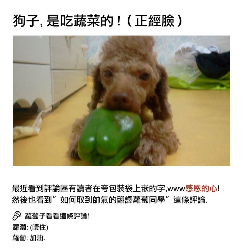 《招待不周》漫画最新章节第13话免费下拉式在线观看章节第【6】张图片