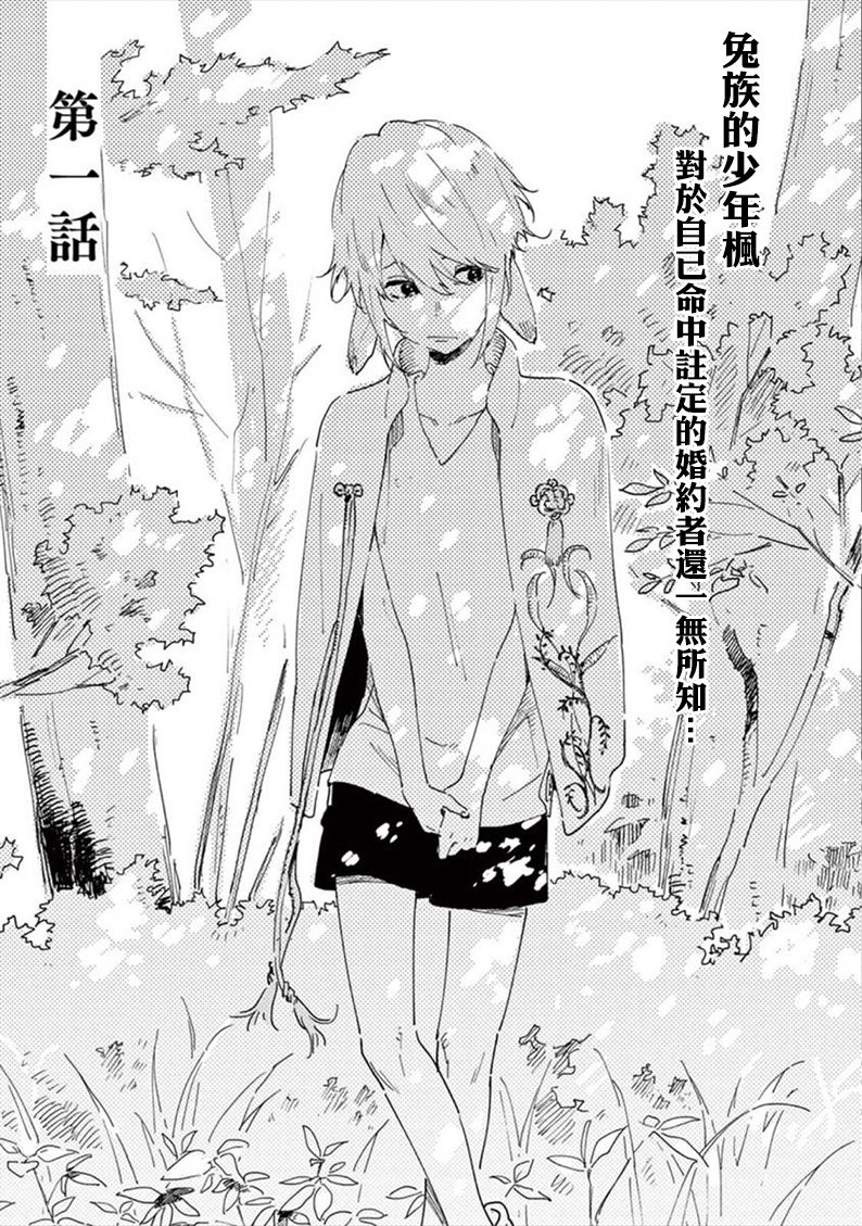 《嫁入狼族~异种婚姻谭~》漫画最新章节第1话免费下拉式在线观看章节第【2】张图片