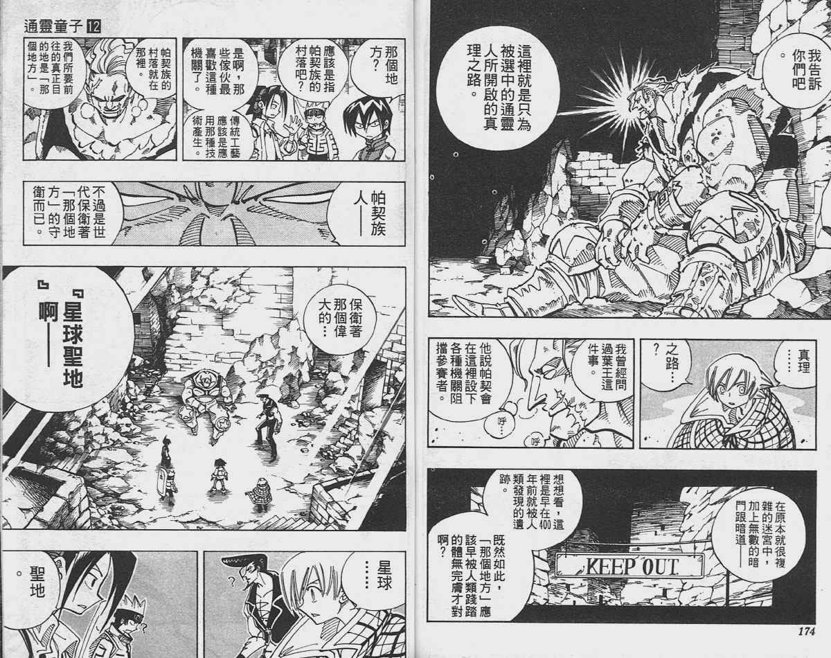 《通灵王》漫画最新章节第12卷免费下拉式在线观看章节第【87】张图片