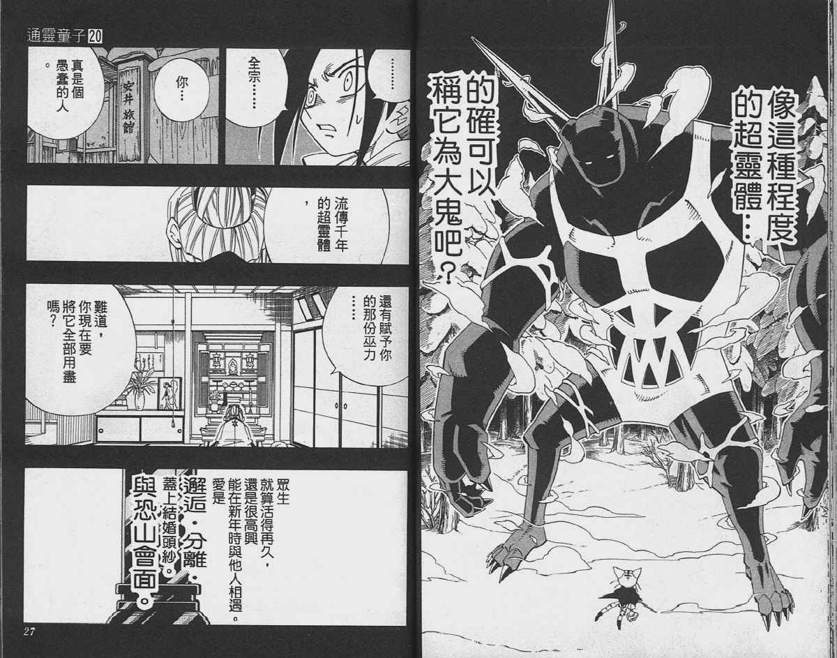 《通灵王》漫画最新章节第20卷免费下拉式在线观看章节第【14】张图片