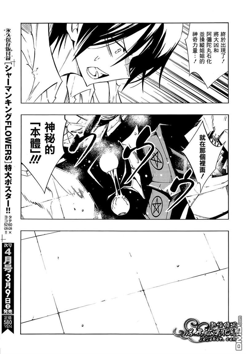 《通灵王》漫画最新章节外传：第11话免费下拉式在线观看章节第【13】张图片