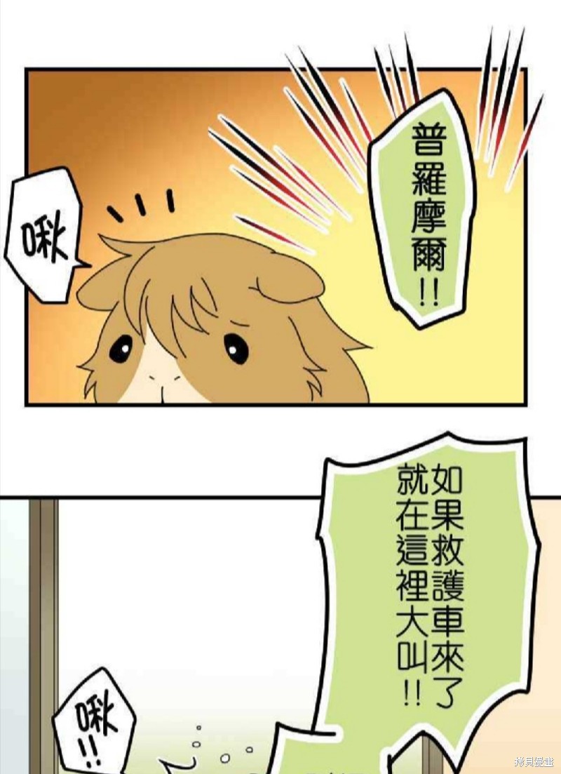 《香菇君，你在做什么?》漫画最新章节第66话免费下拉式在线观看章节第【11】张图片