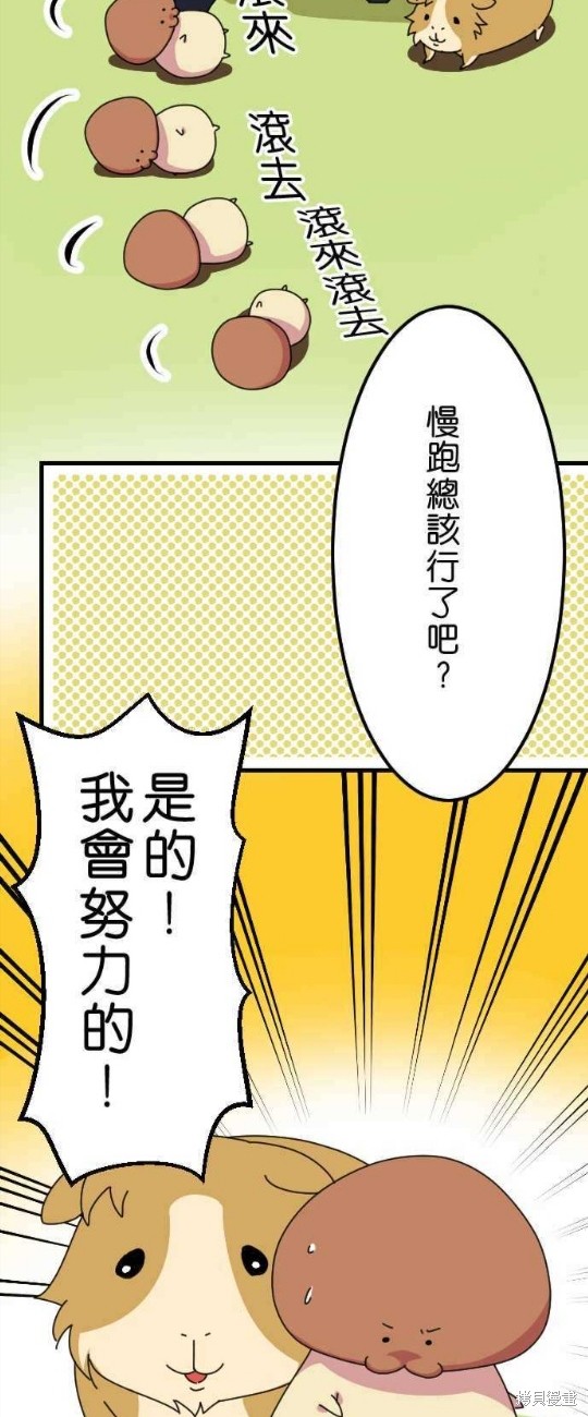 《香菇君，你在做什么?》漫画最新章节第17话免费下拉式在线观看章节第【4】张图片