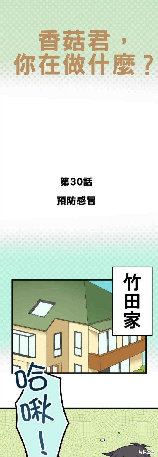 《香菇君，你在做什么?》漫画最新章节第30话免费下拉式在线观看章节第【1】张图片