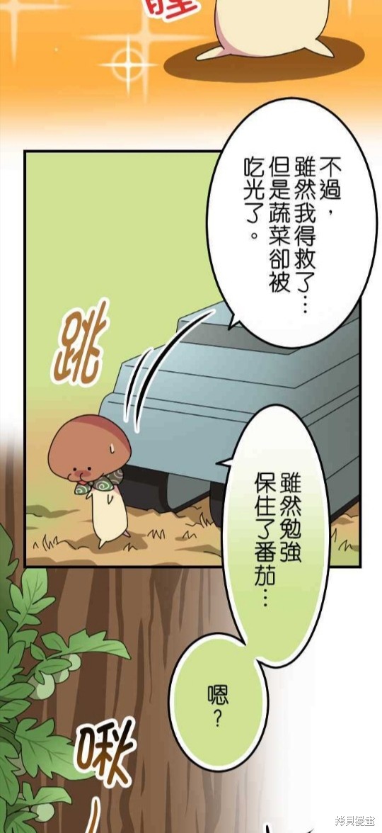 《香菇君，你在做什么?》漫画最新章节第48话免费下拉式在线观看章节第【5】张图片