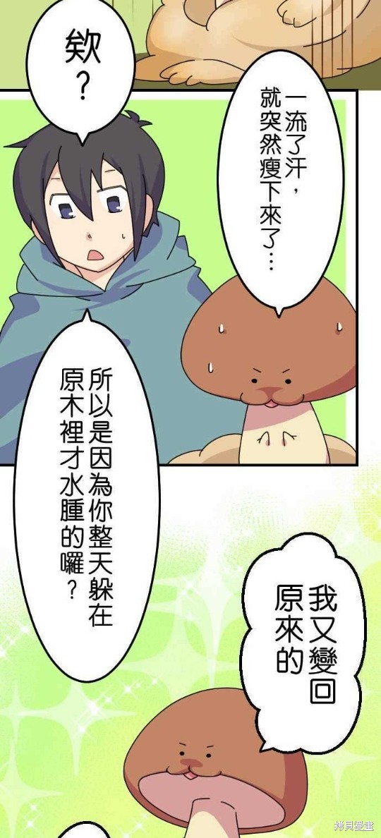 《香菇君，你在做什么?》漫画最新章节第17话免费下拉式在线观看章节第【16】张图片