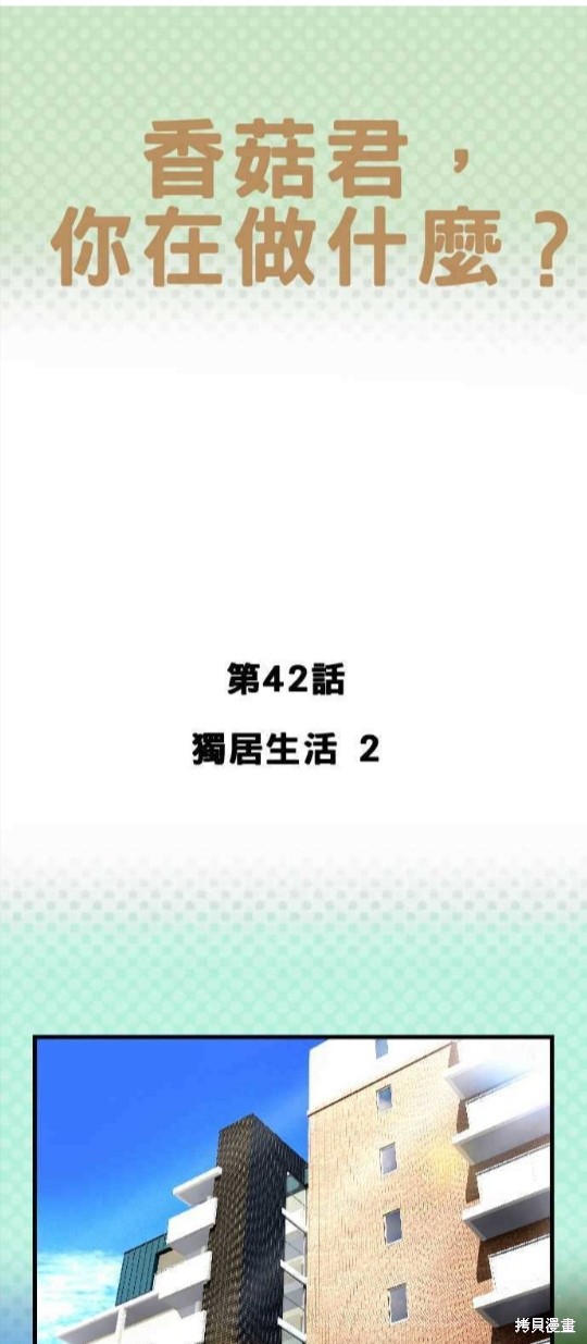 《香菇君，你在做什么?》漫画最新章节第42话免费下拉式在线观看章节第【1】张图片