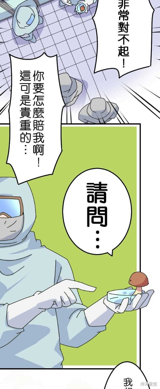 《香菇君，你在做什么?》漫画最新章节第14话免费下拉式在线观看章节第【13】张图片