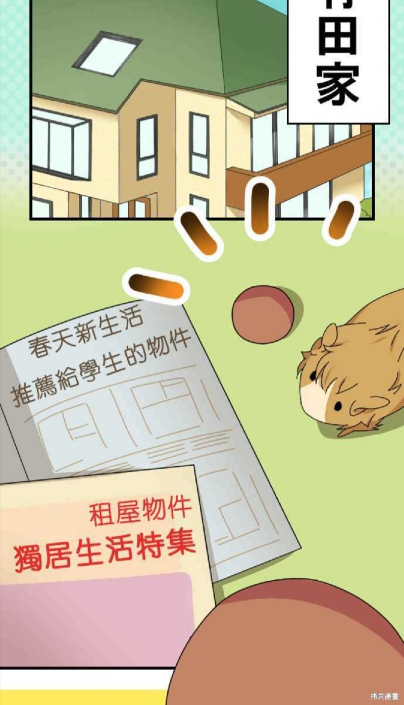 《香菇君，你在做什么?》漫画最新章节第41话免费下拉式在线观看章节第【2】张图片