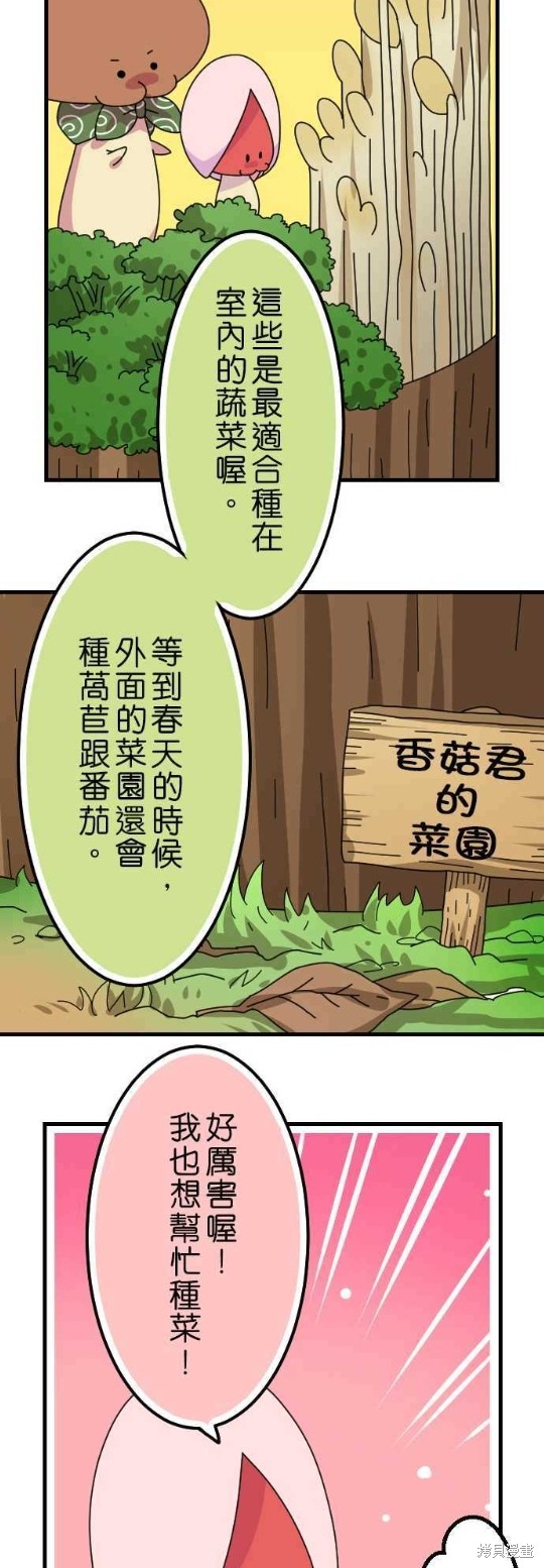 《香菇君，你在做什么?》漫画最新章节第38话免费下拉式在线观看章节第【4】张图片