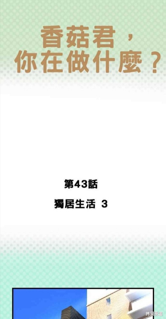 《香菇君，你在做什么?》漫画最新章节第43话免费下拉式在线观看章节第【1】张图片