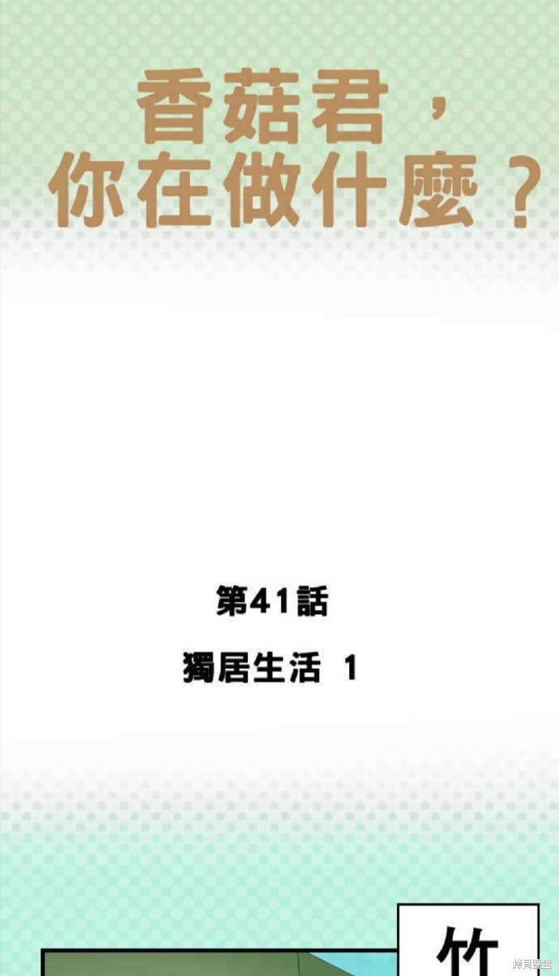 《香菇君，你在做什么?》漫画最新章节第41话免费下拉式在线观看章节第【1】张图片