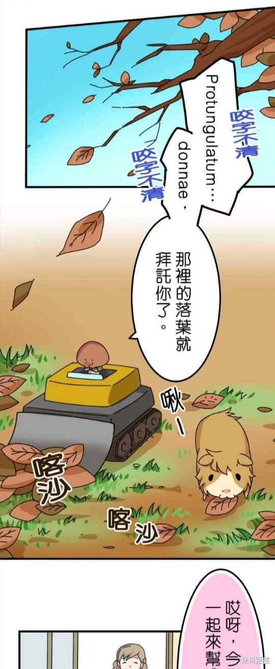 《香菇君，你在做什么?》漫画最新章节第26话免费下拉式在线观看章节第【11】张图片