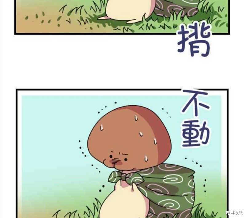 《香菇君，你在做什么?》漫画最新章节第33话免费下拉式在线观看章节第【25】张图片