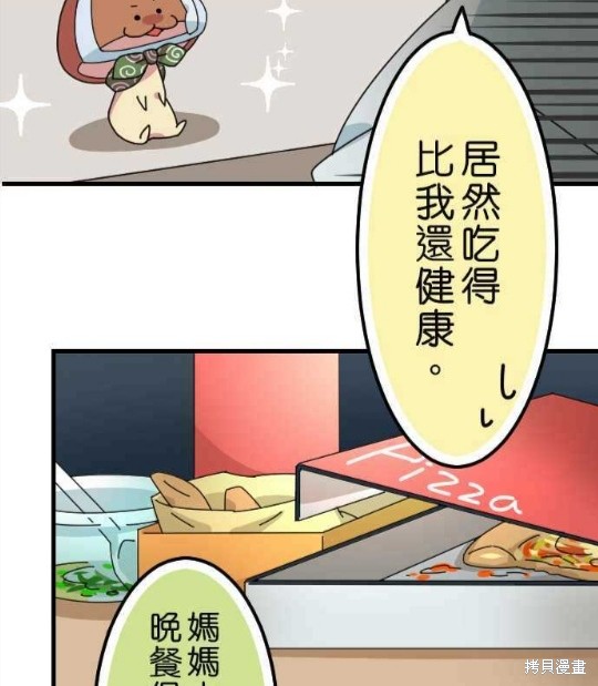 《香菇君，你在做什么?》漫画最新章节第36话免费下拉式在线观看章节第【28】张图片