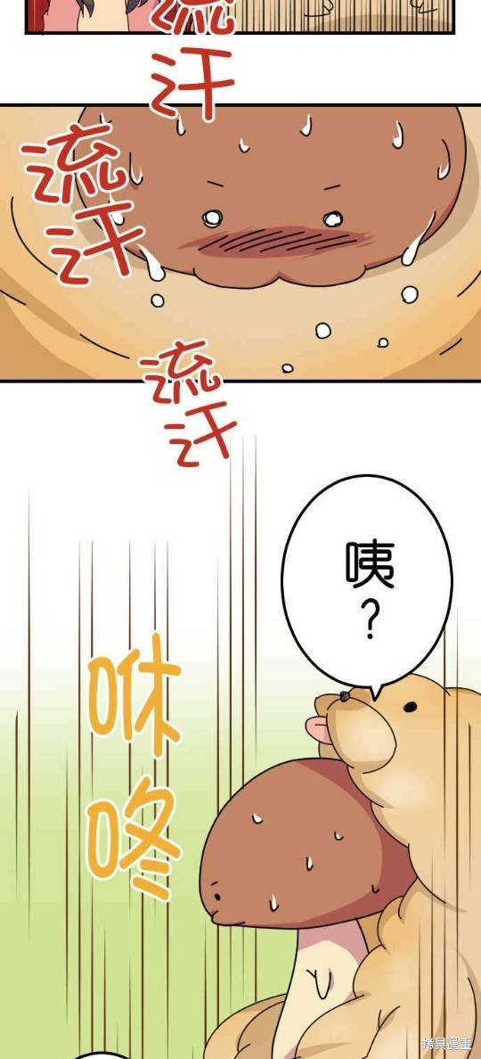 《香菇君，你在做什么?》漫画最新章节第17话免费下拉式在线观看章节第【15】张图片