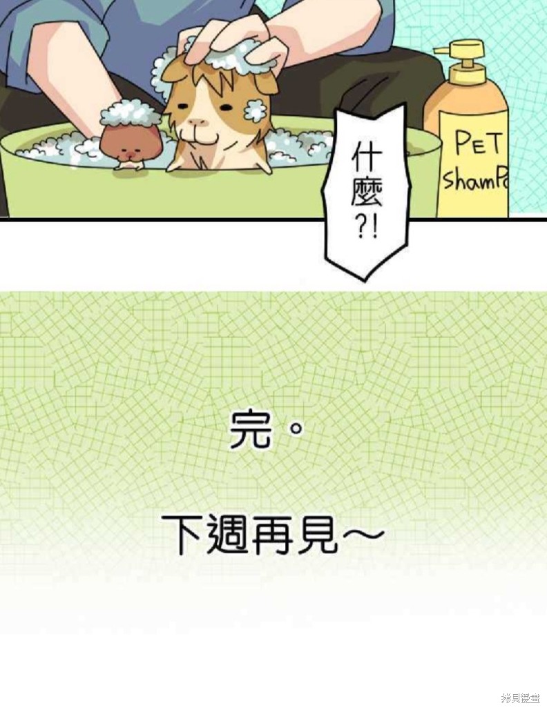 《香菇君，你在做什么?》漫画最新章节第26话免费下拉式在线观看章节第【30】张图片