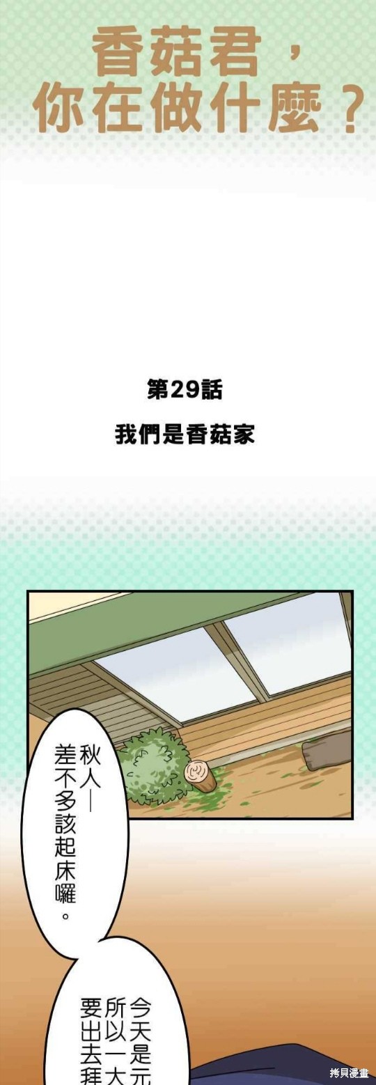 《香菇君，你在做什么?》漫画最新章节第29话免费下拉式在线观看章节第【1】张图片