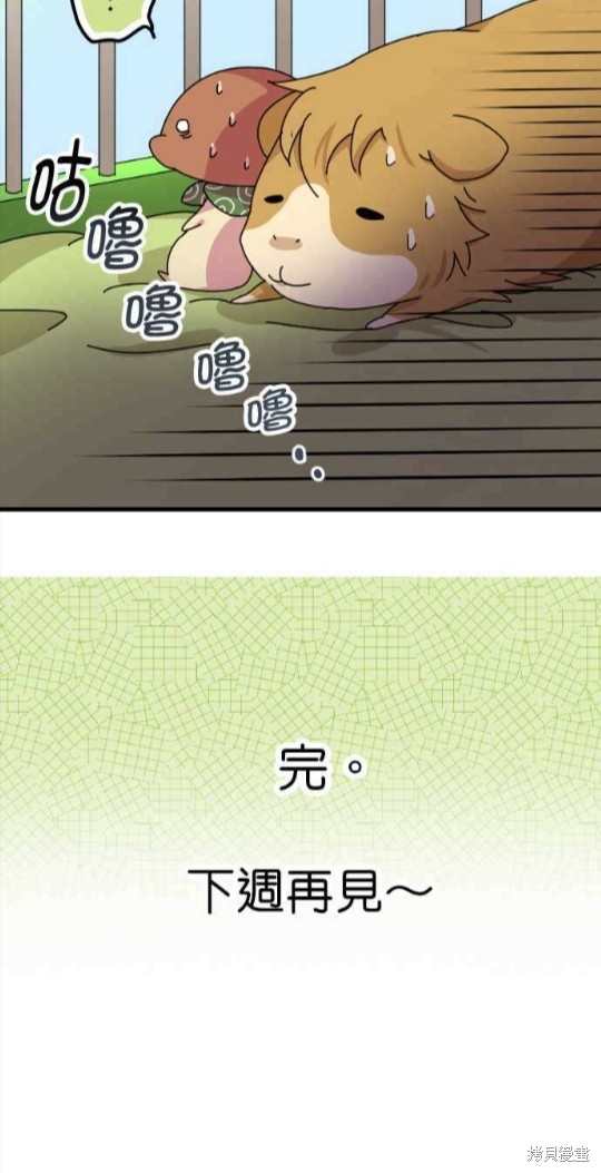 《香菇君，你在做什么?》漫画最新章节第49话免费下拉式在线观看章节第【40】张图片