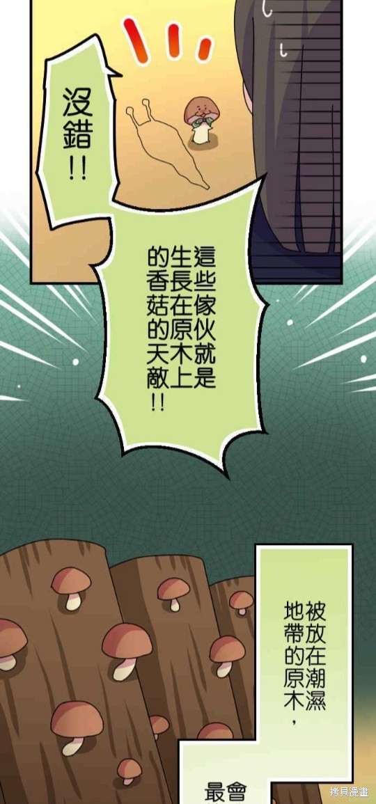 《香菇君，你在做什么?》漫画最新章节第46话免费下拉式在线观看章节第【15】张图片