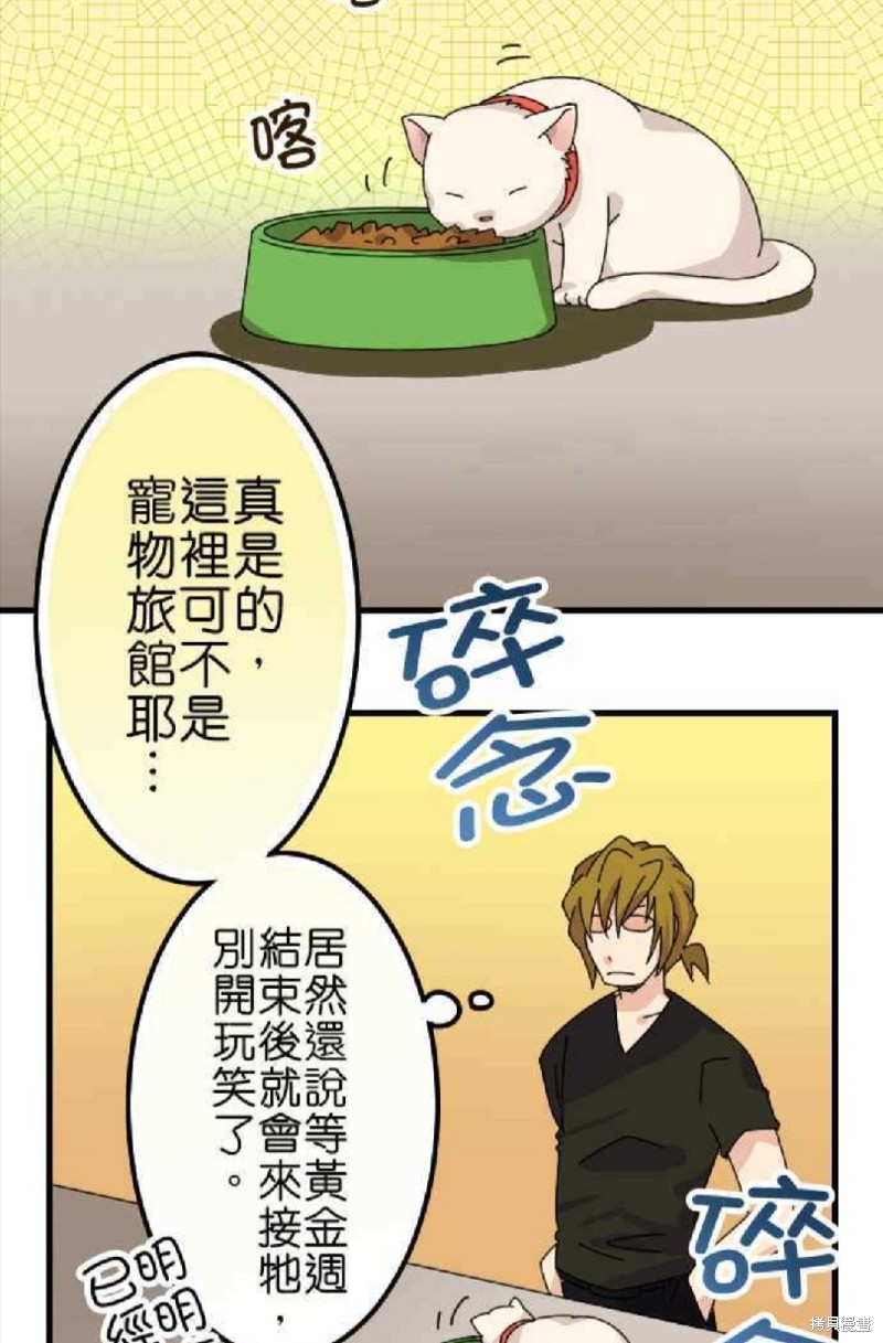 《香菇君，你在做什么?》漫画最新章节第45话免费下拉式在线观看章节第【16】张图片