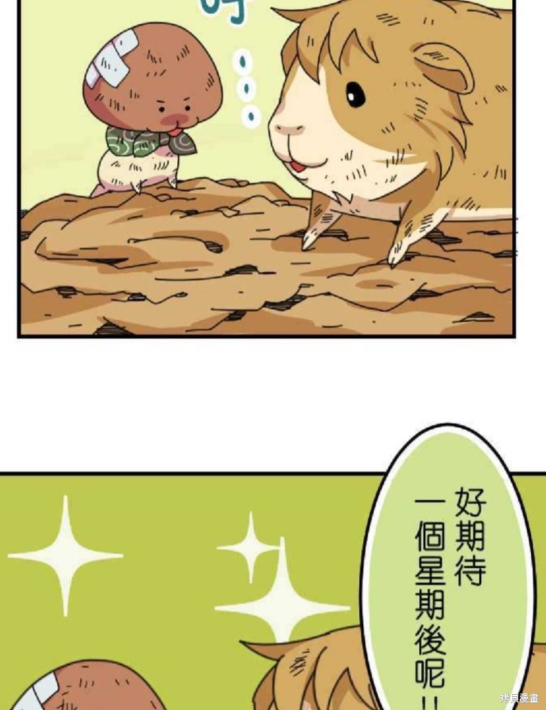 《香菇君，你在做什么?》漫画最新章节第26话免费下拉式在线观看章节第【22】张图片