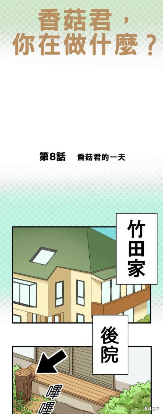 《香菇君，你在做什么?》漫画最新章节第8话免费下拉式在线观看章节第【1】张图片