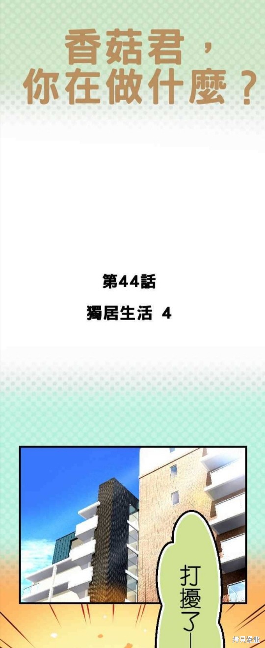 《香菇君，你在做什么?》漫画最新章节第44话免费下拉式在线观看章节第【1】张图片