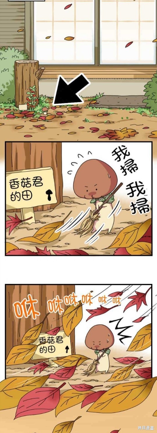 《香菇君，你在做什么?》漫画最新章节第18话免费下拉式在线观看章节第【2】张图片