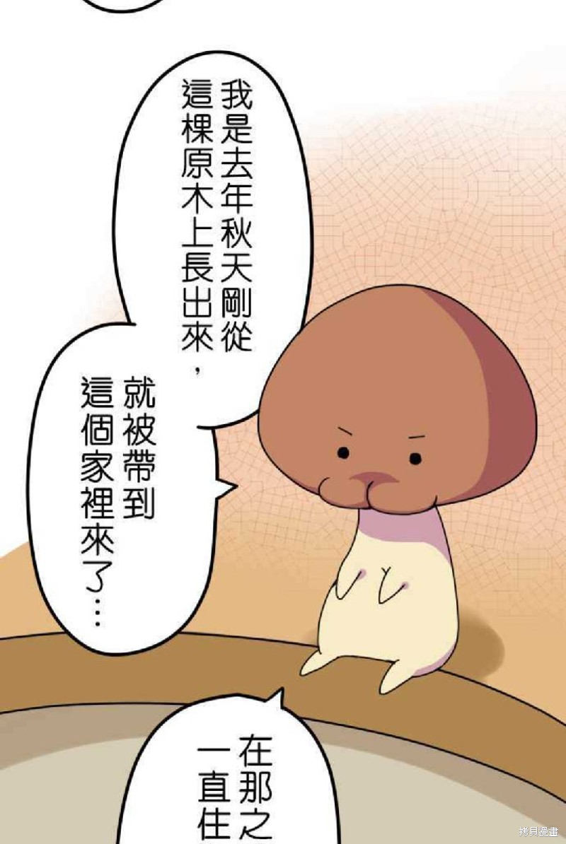 《香菇君，你在做什么?》漫画最新章节第2话免费下拉式在线观看章节第【5】张图片