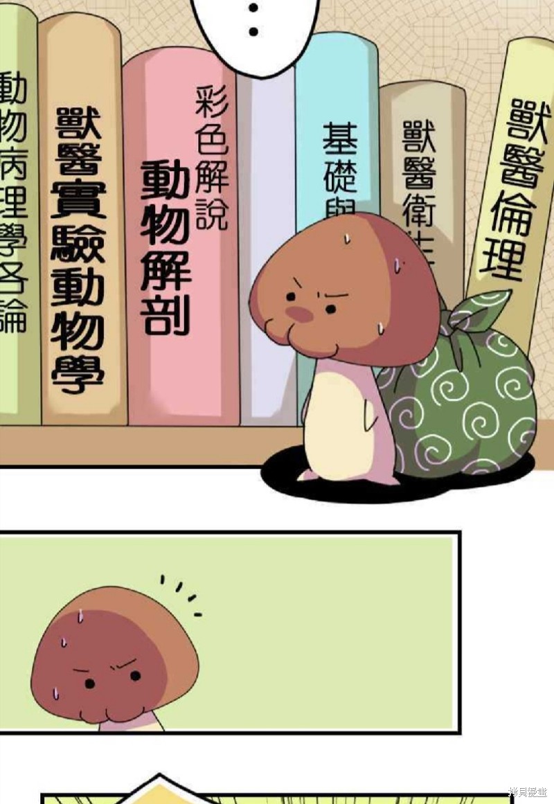 《香菇君，你在做什么?》漫画最新章节第3话免费下拉式在线观看章节第【3】张图片